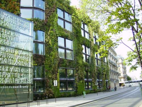 Patrick Blanc - Musee du Quai Branly